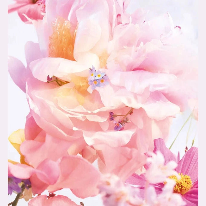 Dior Miss Dior Cherie Blooming Bouquet