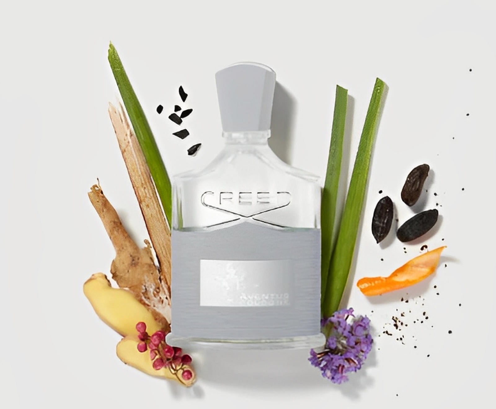 Aventus Cologne